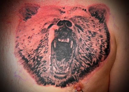 Bear Tattoos Design Pics Gallery